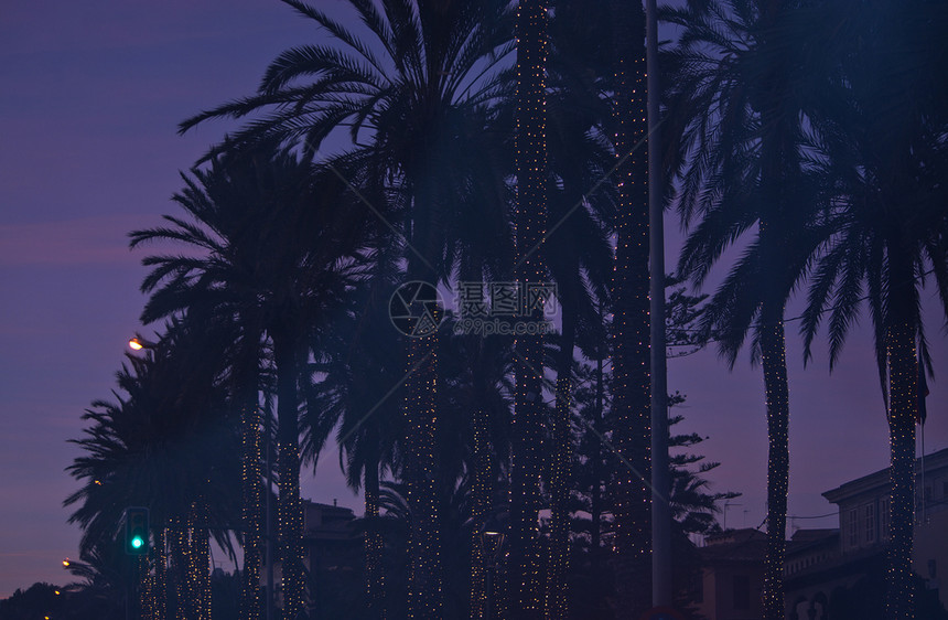情绪树木圣诞灯装饰棕榈树西班牙马略卡岛帕尔冬季黄昏时分圣诞灯装饰了PaseoMaritimo的棕榈树干图片