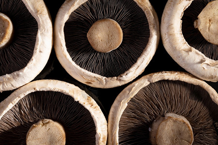 自然食物波多贝罗深底蘑菇背景的软骨图片