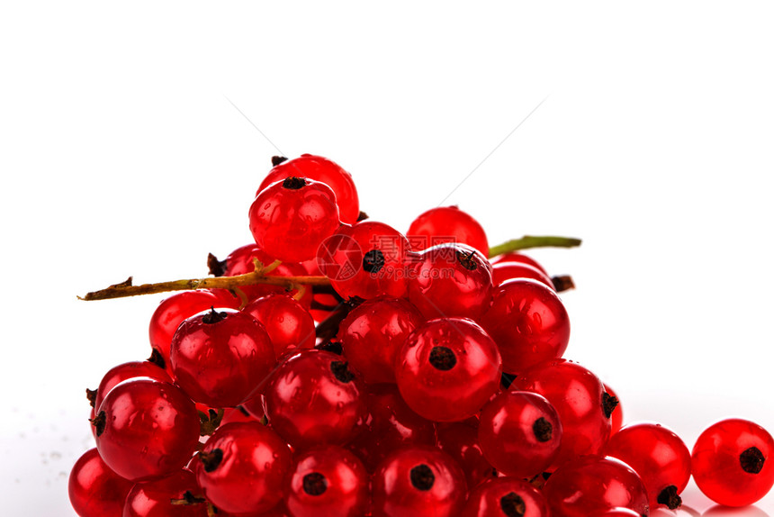 白色背景的红花草莓孤立于白底庄稼健康多汁的图片