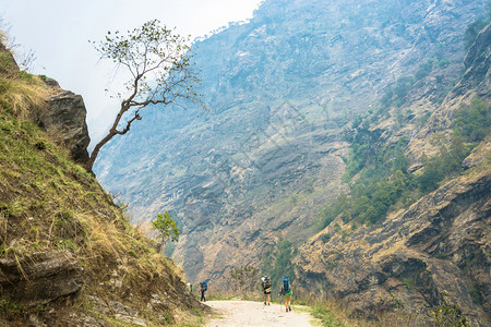 户外喜马拉雅山上一条路的旅游者在尼泊尔安纳普附近旅行徒步岩石图片