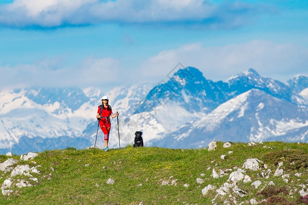 山狗在山上散步一个女人与她的狗友在高山下雪的幕后黑手中最佳草年轻的背景