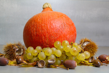 死的收成橙南瓜栗子壳葡萄橡子和死藤树在秋天收获后叶背景图片