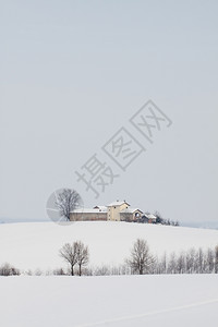自然排景观一个有雪和冬季风景的农场图片