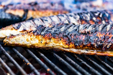 烧烤鲜鱼木炭上的灰鱼野餐可口热的图片