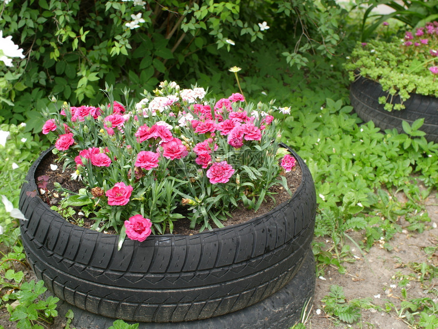 环境户外带有旧汽车轮胎花棚的温馨园和老车轮胎盆景观图片
