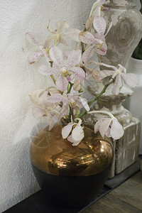 工艺盆栽在卫生泉水中装饰的兰花瓶库存照片放松图片