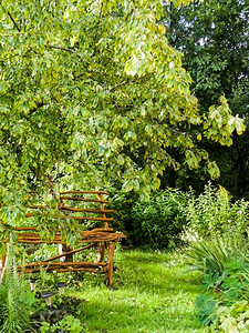 环境绿色坐在花园的长凳上在里的一棵苹果树下横幅图片