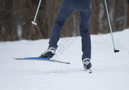 冬季在滑雪场滑雪的人图片