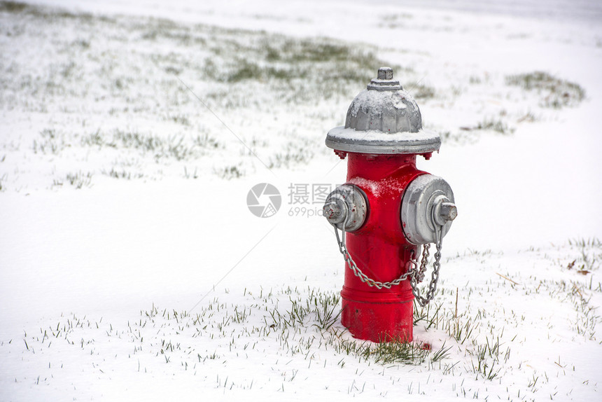 泵乡村的一种雪中个红火水合干玉米卷图片