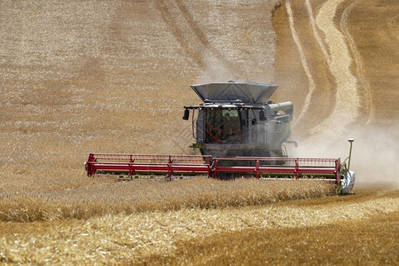 收割时间在英格兰北约克郡农村砍伐小麦作物收割机械外部图片