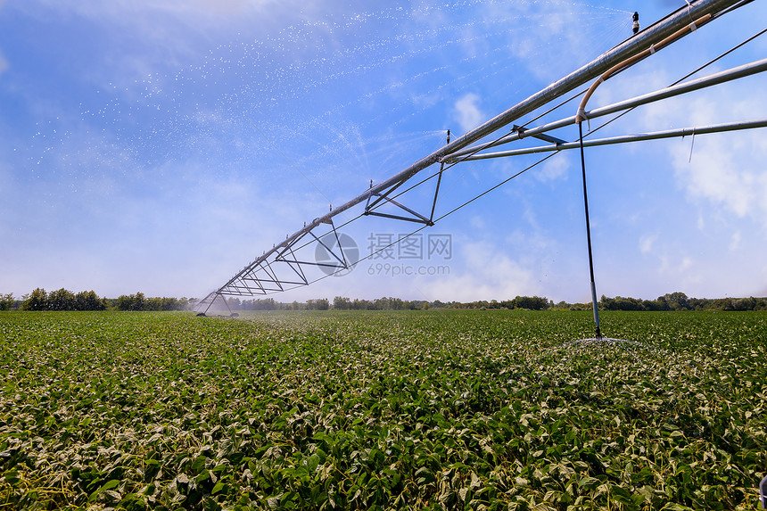 利用中央水分喷洒系统由支流喷洒机Systeem灌溉作物田地经过泵喷雾器图片