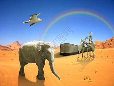 木制的诺亚弧形大象鸟长颈鹿在沙漠中与彩虹海降落图片