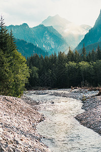 顶峰水旅行塔特拉山区松树和峰的自然景象及山岳地貌图案Tatra山图片
