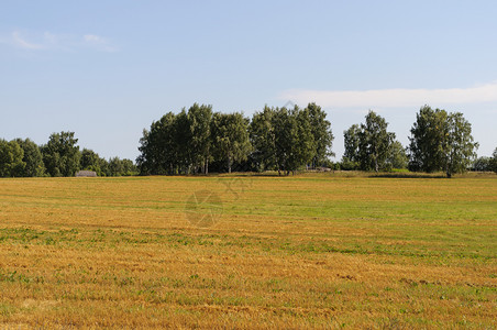 天空农田村庄地貌景观郊附近的黄色草原图片