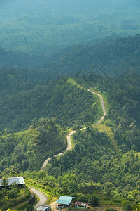 夏天高山路的顶端道森林自然图片