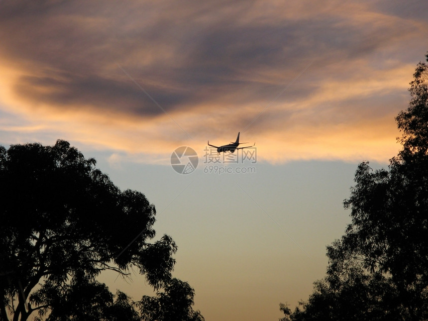 导航着陆飞机降落天上有云前方树木客机多云的图片