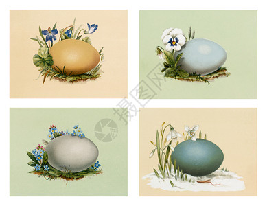 新派卡片用花和鸡蛋4x3英寸绘制复活节明信片老的标签设计图片