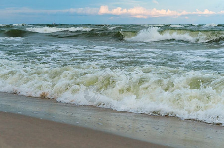泡沫海滩水浪在沙上滚动波罗的海沙质岸在滩上滚动图片