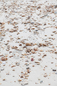 沙滩上的石子小路图片