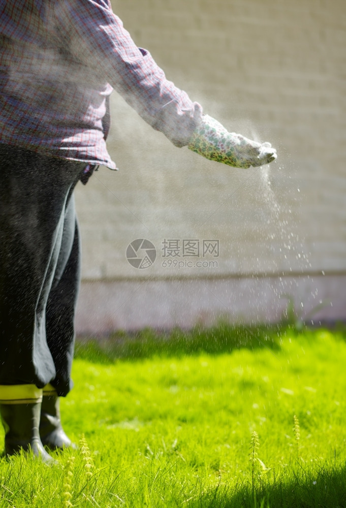 手套园丁在职的妇女照顾草坪和施肥图片