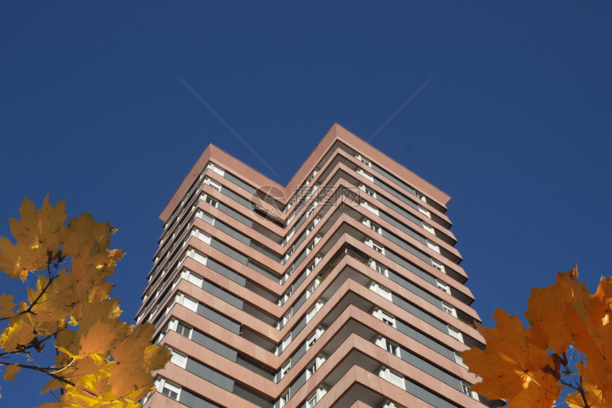 九月高楼的房子和秋叶与蓝色的天空相对树木公寓图片
