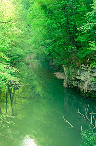岩石Bigar河景象Anina山的自然保留地水景观图片