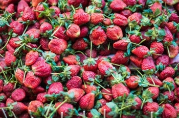 美味的食物草莓果实形态背景小吃图片