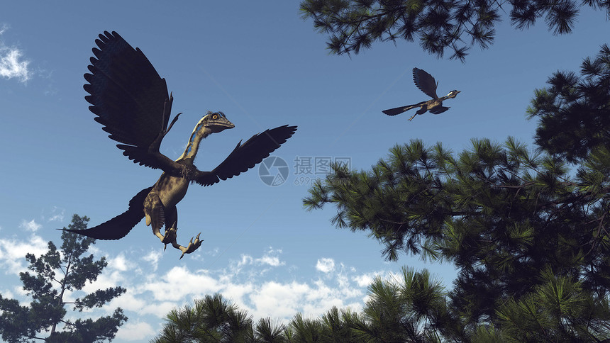 翅膀古生物学在松树间飞行的考古鸟类恐龙3D使考古鸟类恐龙飞行的3D变成D羽毛图片