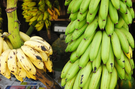 素食主义者小吃市场上的黄果和绿色香蕉水热带图片