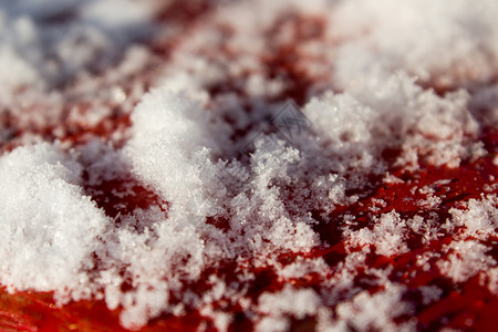 天气描述红木背景上雪幕红色图片