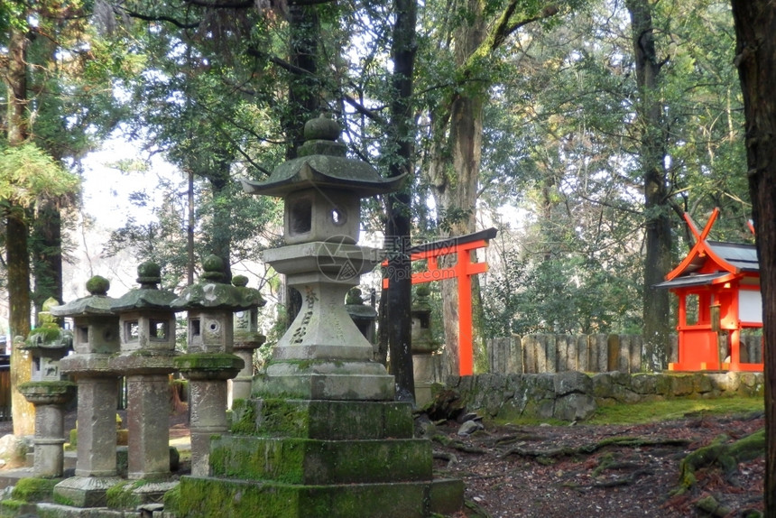 日本人观光文化通往纳拉Kasuga神社的道路上托里门和石灯图片