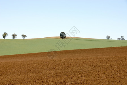 土地美好的耕种澳大利亚西南新威尔士州西新威尔士农场地图片