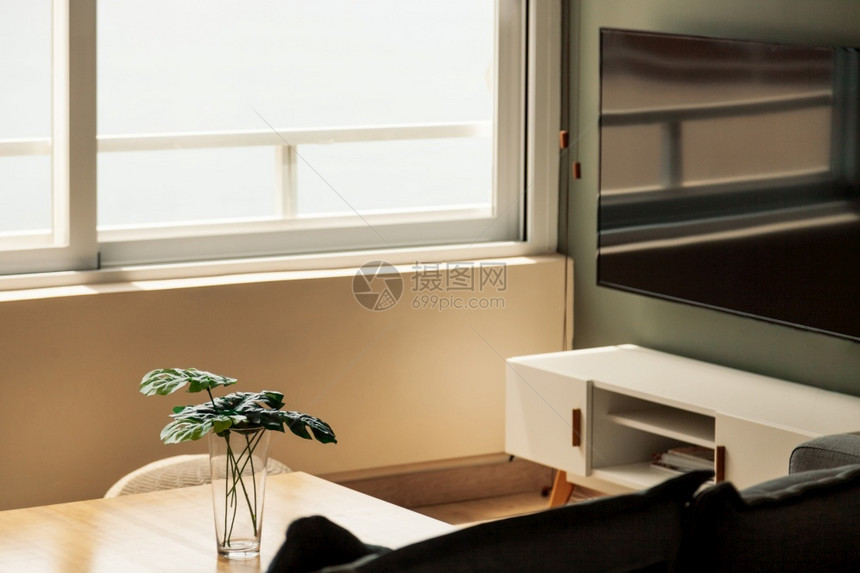 有大窗户的舒适明亮公寓风景白天住宅室内的图片