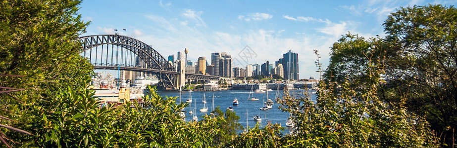 假期悉尼港湾桥和杰克逊口桥的景象旅游船图片