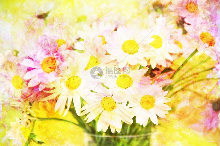由彩色过滤器水颜成分制的花束和朵作品可爱的抽象图片