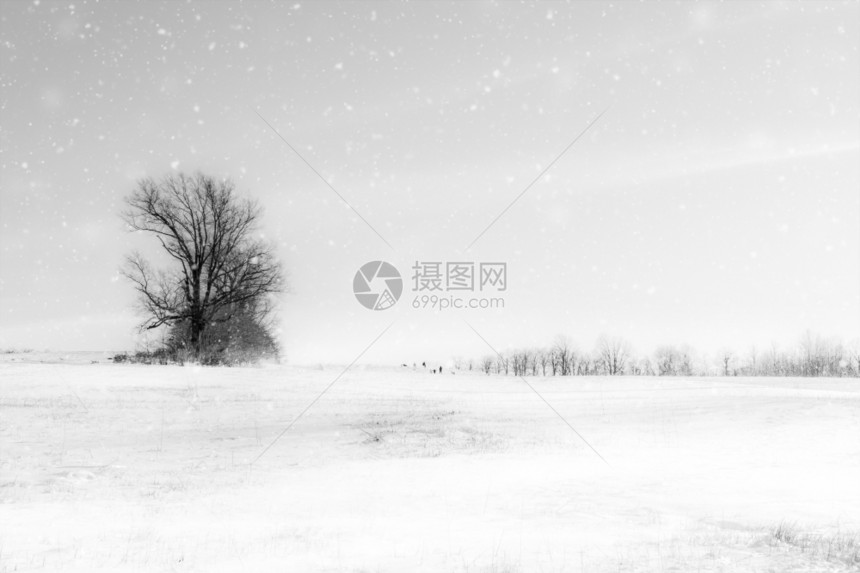 冬天冷冻照片季景观白色仙境景观图片