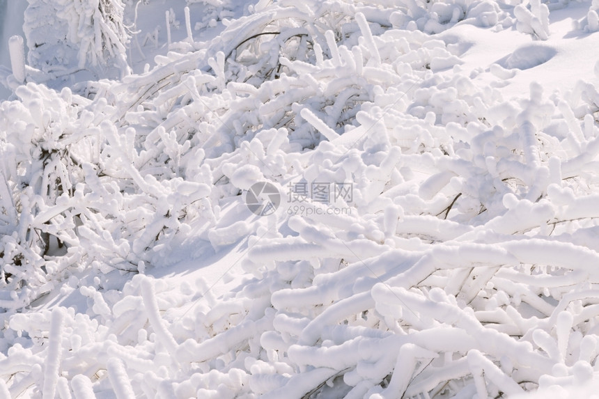 股票奥尔洛夫冬季景观白色仙境景观节图片