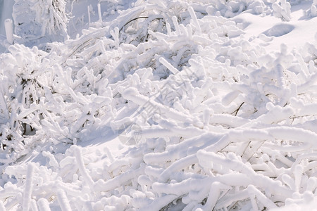 股票奥尔洛夫冬季景观白色仙境景观节图片