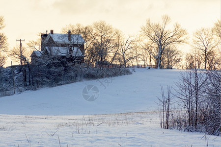 冬天季景观白色仙境景观风冻结图片