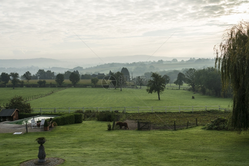 园圃有游泳池马匹和山丘清晨有雾景观福格尔惠斯植物图片