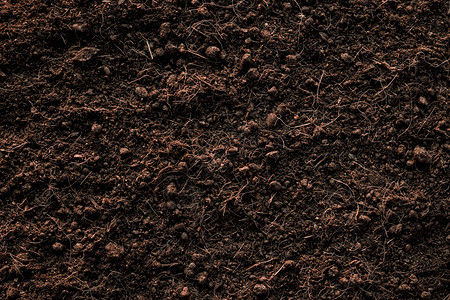 干燥适合种植的土壤质地本肥料岩浆土地形有机的图片
