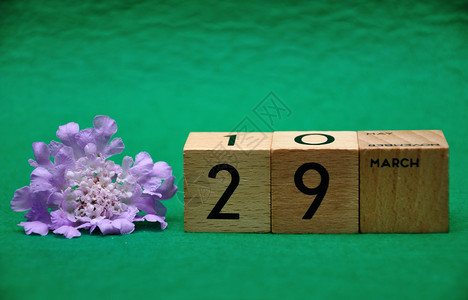 木制的自然植物3月29日用绿色背景的紫花木板块背景图片