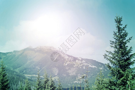 旅游地平线夏季阳光明山的区景观自然概念远足图片