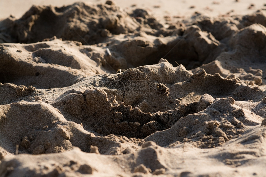 沙滩上湿润的沙子图片