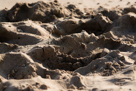 沙滩上湿润的沙子图片