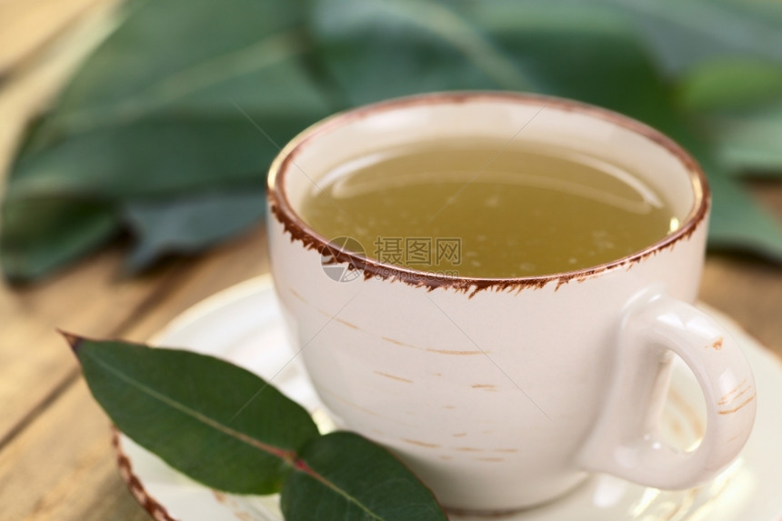饮料处理健康新鲜准备的热茶由Eucalyptus叶子制成放在杯中选择焦点关注前边缘和杯柄上图片