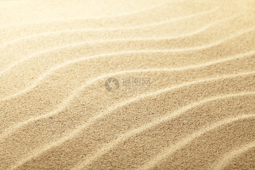 桑迪海滩背景沙关闭视图聚焦中心富劳卡沙丘复制图片