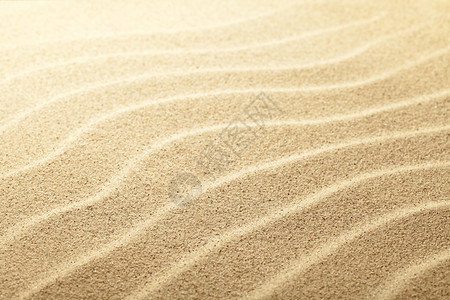 桑迪海滩背景沙关闭视图聚焦中心富劳卡沙丘复制图片