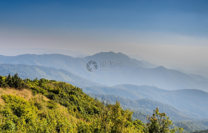 有雾颜色树多伊因太农泰国最高山峰图片