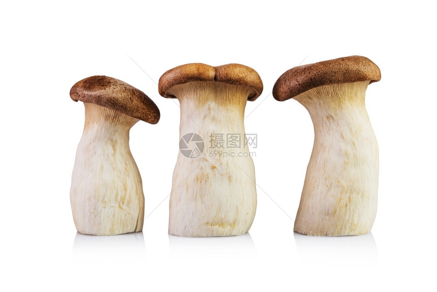 帽吃国王牡蛎蘑菇在白色背景上被孤立健康图片